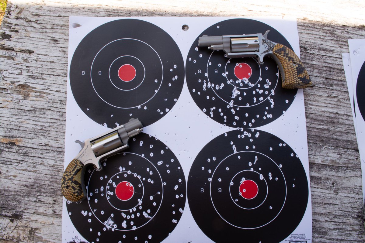 HandgunnerMag's tweet image. Snake medicine! North American Arms Anti-Venom Mini-Revolvers, a special edition exclusive from Bill Hicks &amp;amp; Co with CCI .22 Magnum Shot Shells.

#snakemedicine #22Magnum #shotshells #minirevolvers #nrothamericanarms #revolvers #pewpew #shooting #handguns