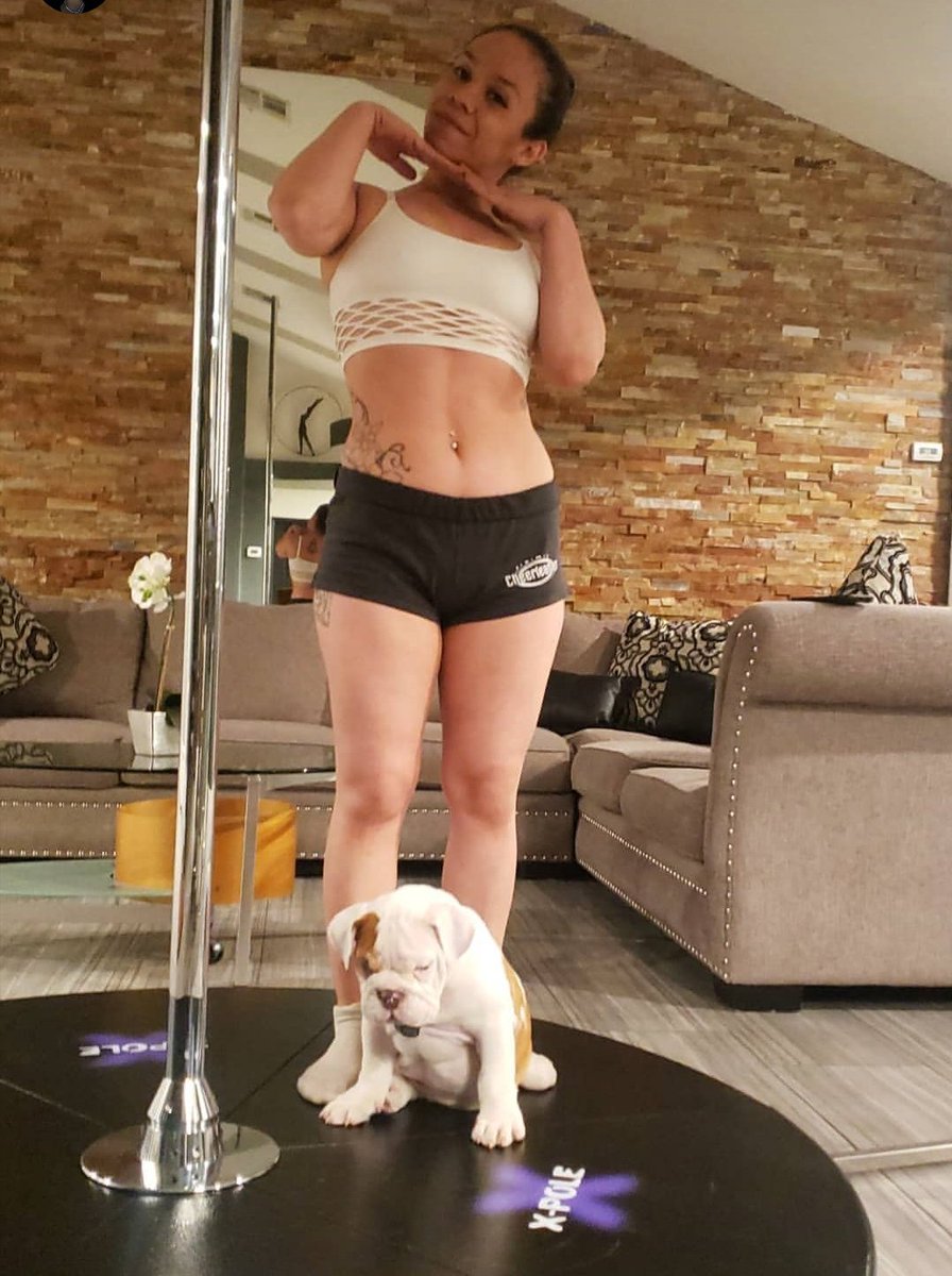 MissTia_xo's tweet image. Taught pole at a clients house and my assistant kept falling asleep. 

#yourfavoritetinydancer #exoticdancer #poleclass #poleinstructor #quarantine #workout #yesastripper #funsize #latina #ineedatan #englishbulldogs