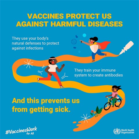 FlaviaBustreo's tweet photo. This pandemic has reminded us once again the importance of #vaccines to protect people of all ages against disease, in particular the most vulnerable #women,#children,#adolescents & #elderly. #vaccineswork #WorldImmunizationWeek2020 https://t.co/hMO7LiQfR1