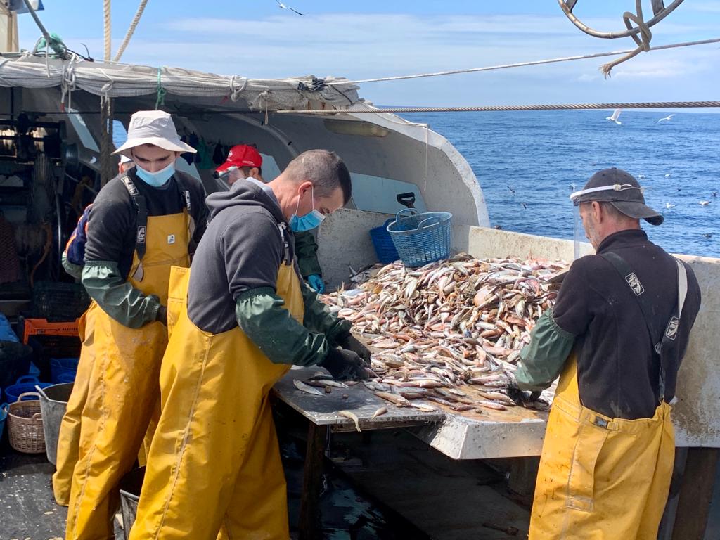 En #DíaDelTrabajador #InternationalWorkersDay  destacamos la labor de los armadores, tripulantes y profesionales de todos los eslabones de cadena de #valor del sector pesquero que capturan, transportan, procesan y comercializan los productos de la #pesca #JuntosSaldremosAdelante