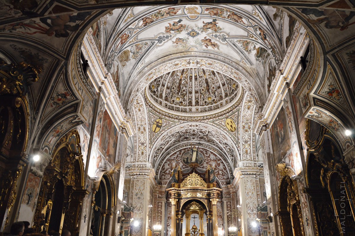 𝕁ose 𝕄aldonati tweet media