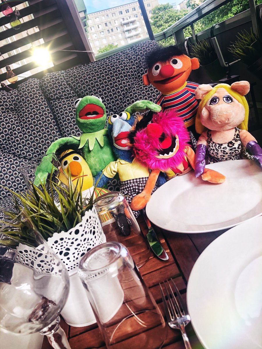 andrepuchta's tweet photo. Die ganze #Sippschaft klingelte an der Tür und lädt sich nun selbst zum Frühstück ein. Oder wie es mich @MissPiggy wissen ließ: „Als #Diva verlange ich, dass jeder Tag traumhaft ist – sonst rollen Köpfe!“ https://t.co/HxF3bVrlML