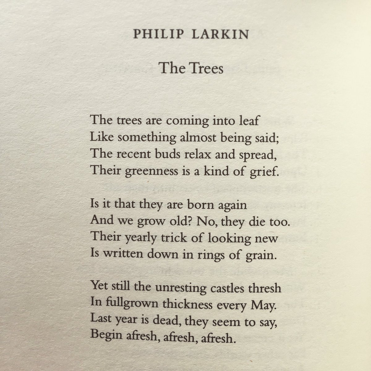 Their greenness is a kind of grief....
Begin afresh, afresh, afresh
- Philip Larkin, The Trees
A poem for #MayDay #keepcalmandreadpoems #books #poetrycommunity #bookstagram