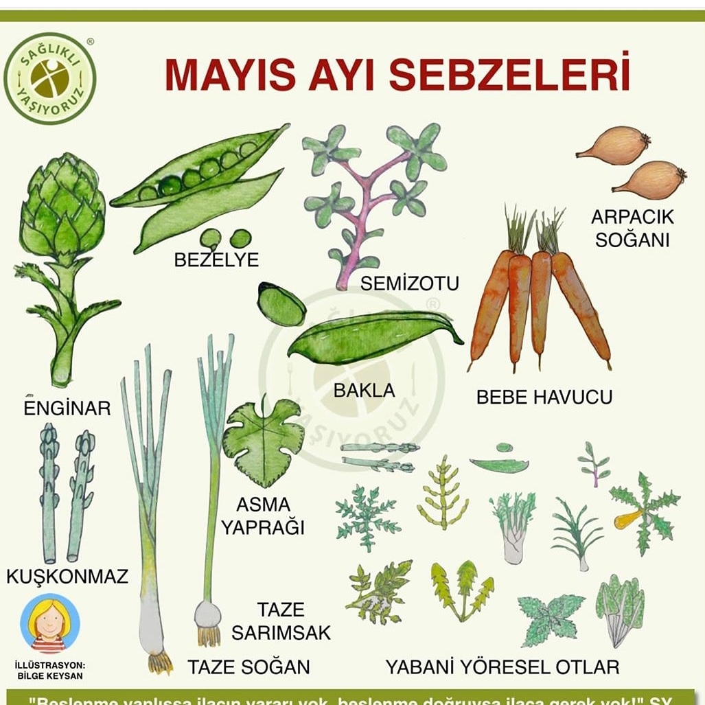 #mayisayisebzeleri