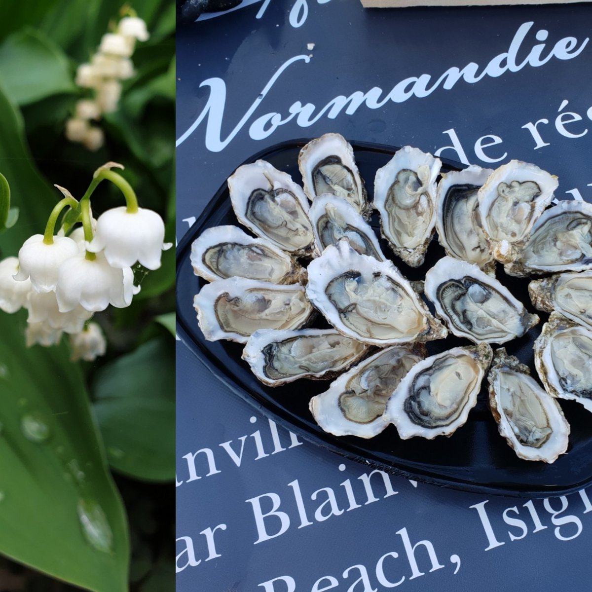 Un petit brin de muguet, un plateau d'huîtres de Normandie,
Voici un 1er mai réussi !
