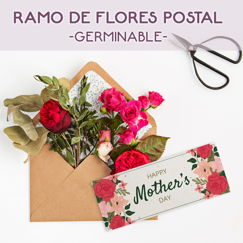 zaida_mares's tweet photo. FELIZ DÍA DE LA MADRE

Diferente pero como siempre especial. Envíos postales de ramos de flores, si, impresos en papel con semillas de flores (100% germinable). Felicidades a todas las madres!  

https://t.co/xFA9Yds6NS https://t.co/EXn07HADq2