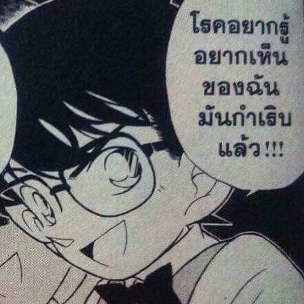 SMH🦊แม่ปุ๊กปิ๊ก🍼🌈 tweet media