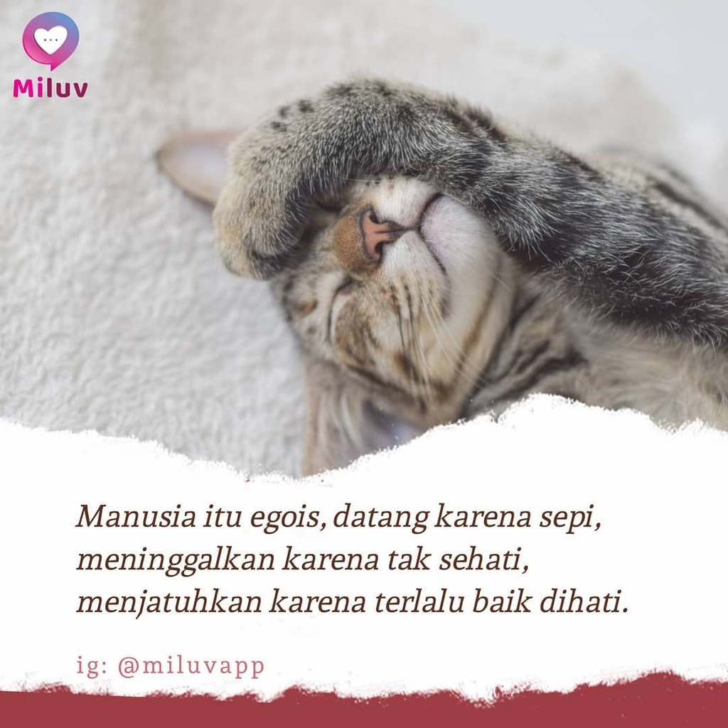 miluvapp's tweet photo. Semoga didatangkan orang yang tidak cuma bilang sayang karena banyak alasan, tapi didatangkan dia yang memang beneran cinta dan serius untuk hidup bersama. Aamiin...
.
#miluvapp #satukancinta #sayang #cinta #pasangan #baper #birojodoh #jodoh #kejujuran #… https://t.co/AvRzuIwBUc https://t.co/0G6GsMT8Ko