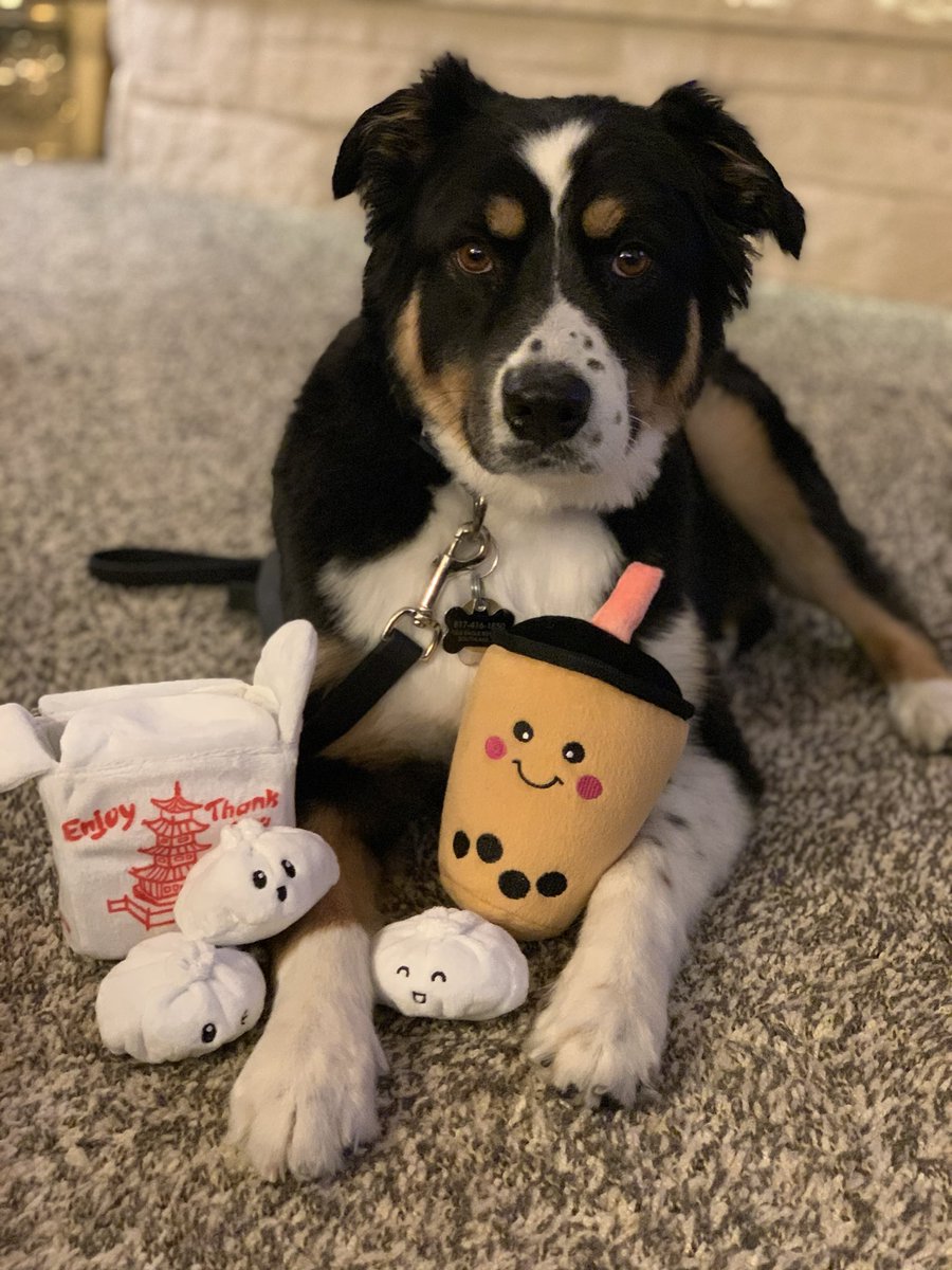 Anne Chow (周慧安) tweet media