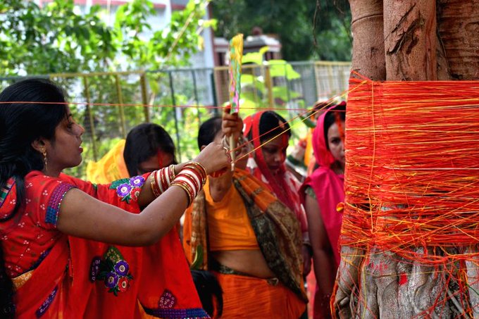 Vat Savitri Vrat is a festival observed by married women in the month of Jyeshta, for long, healthy lives for their husbands. It is observed on Amavasya day in northern India and on Purnima day in southern India. Fasting, puja, and a feast at night are part of the celebrations.