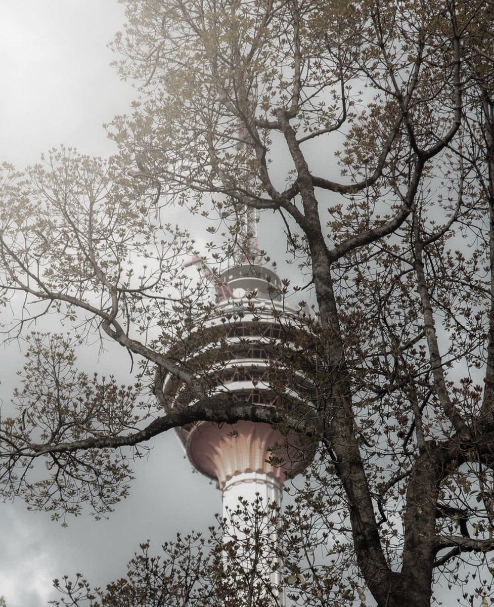 klumpurcity's tweet photo. #KualaLumpurCity // The tower and the tree.

#kualalumpur #klcity #kltower #menarakl #menarakualalumpur #skyscraper #tower #towergram #towerlife #building #city #citygram #citylife #cityscape #igkl #kolumpo #lokallense #visualscollective #visualshotz #photography #igersmy https://t.co/xh1z4bLYMY