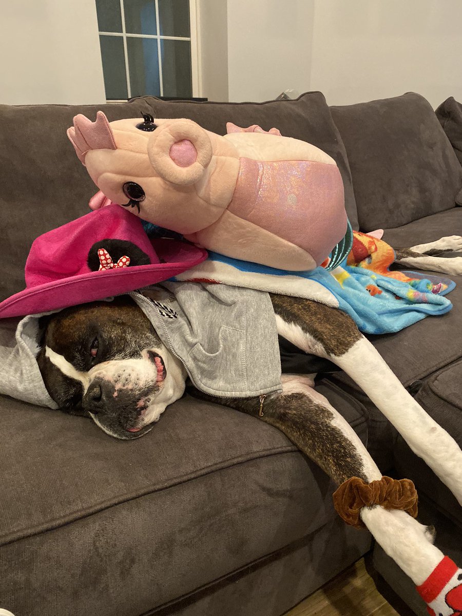 AllyeZoop's tweet image. Messing with big guy !