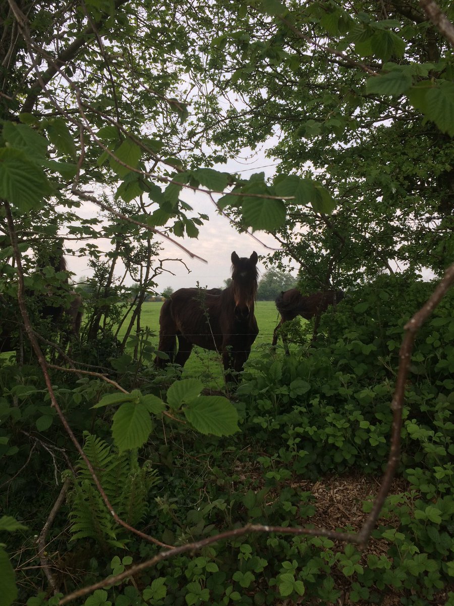 ajdoyle's tweet photo. 7 photos 7days- no people, no words...Day 2/7. Today I nominate @littlemsobrien https://t.co/ZnAkjHuYRt