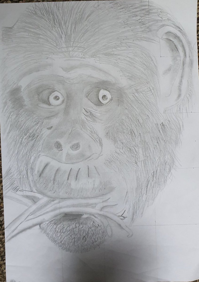 HMcAusland's tweet photo. Aren’t these great? My year 7s have started sending me their chimps... ✏️
.
#proud #workhard #HMcdrawwithme https://t.co/NNNhIsYu1K