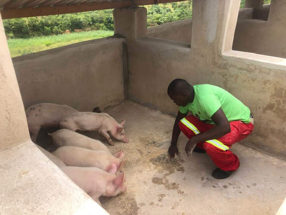 John Muchenje tweet media