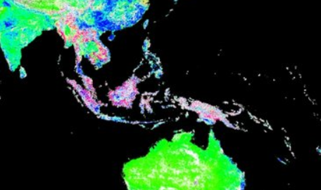 Concernant la déforestation sous les tropiques, l'étude de Chen et al. montre bien les dégâts (en rouge/rose) en Amazonie et dans toute la zone allant de Sumatra à la Papouasie, zones de forêts primaires.