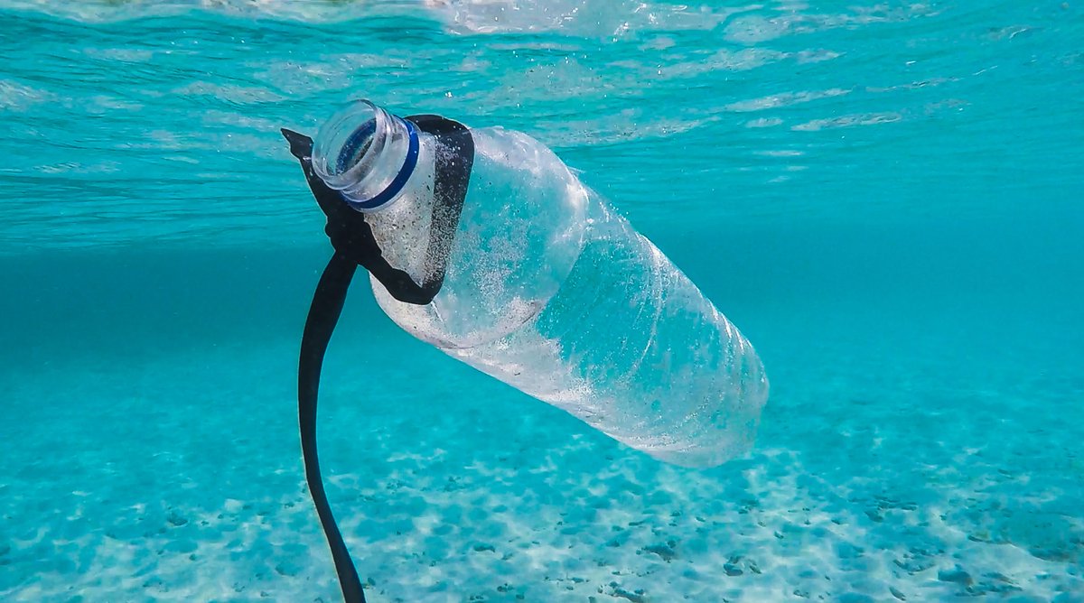 Researchers have found that exposure to micro-plastics disrupts Hermit Crabs home building abilities. The finds are the latest to suggest such pollution could be having an impact on the world’s marine creatures. Read more here pyrocore.com/hermitcrabs-ex… #PyroCore #Plastic