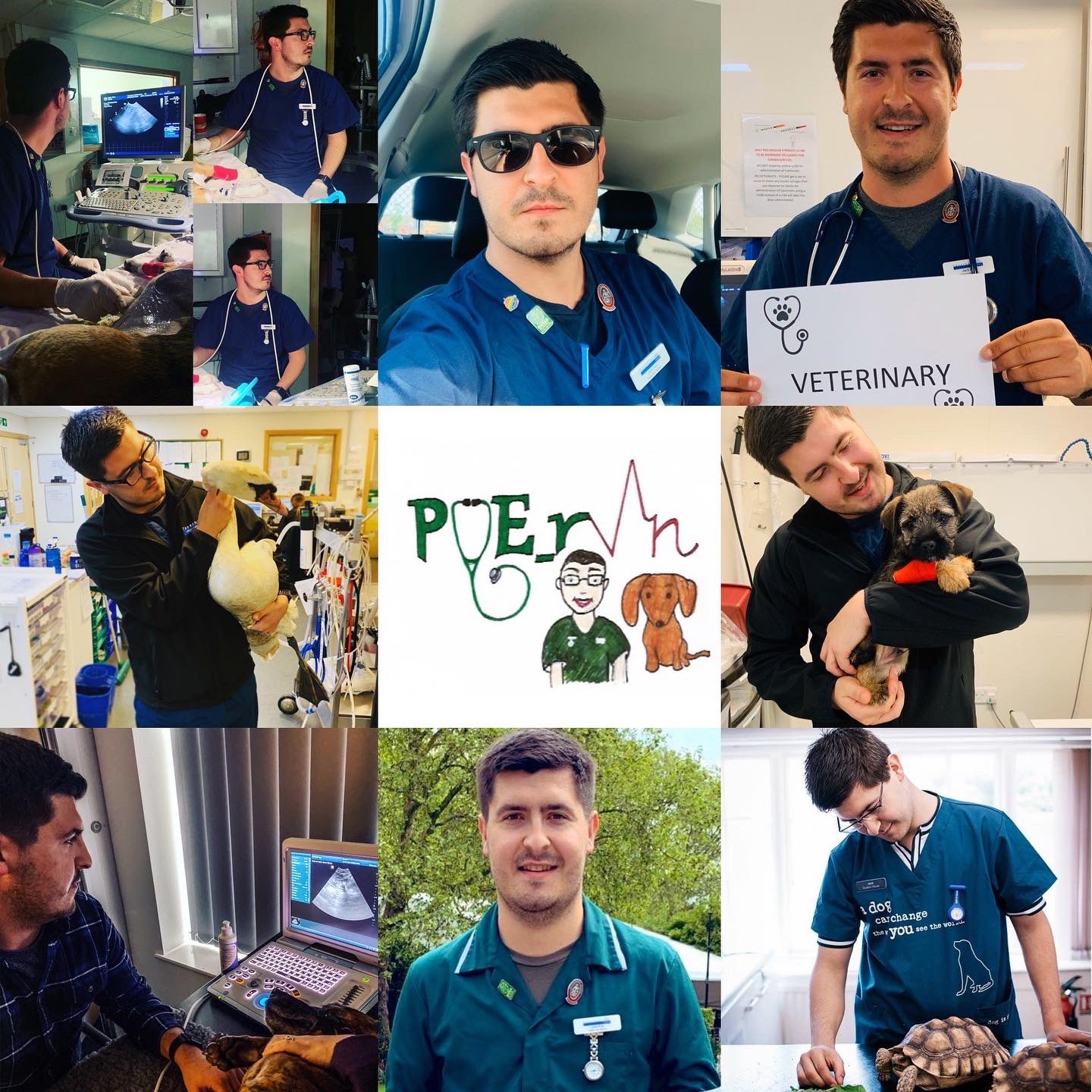 Jack Pye RVN on Twitter "Vet Nurse Awareness Month! 