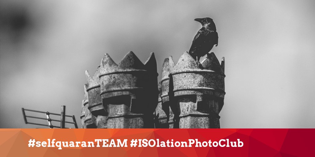 selfquaranTEAM's tweet photo. Afternoon #selfquaranTEAM!

We can’t wait for @TheRoyalBallet recital of The Winter’s Tale at 7pm! #OurHouseToYourHouse
 
Find this &amp; more #WATCH events here:
https://t.co/ObjqWocK38

📸 @Mat_S_Johns. Tag your photos #ISOlationPhotoClub for a chance to be featured. https://t.co/tawgHc90tW