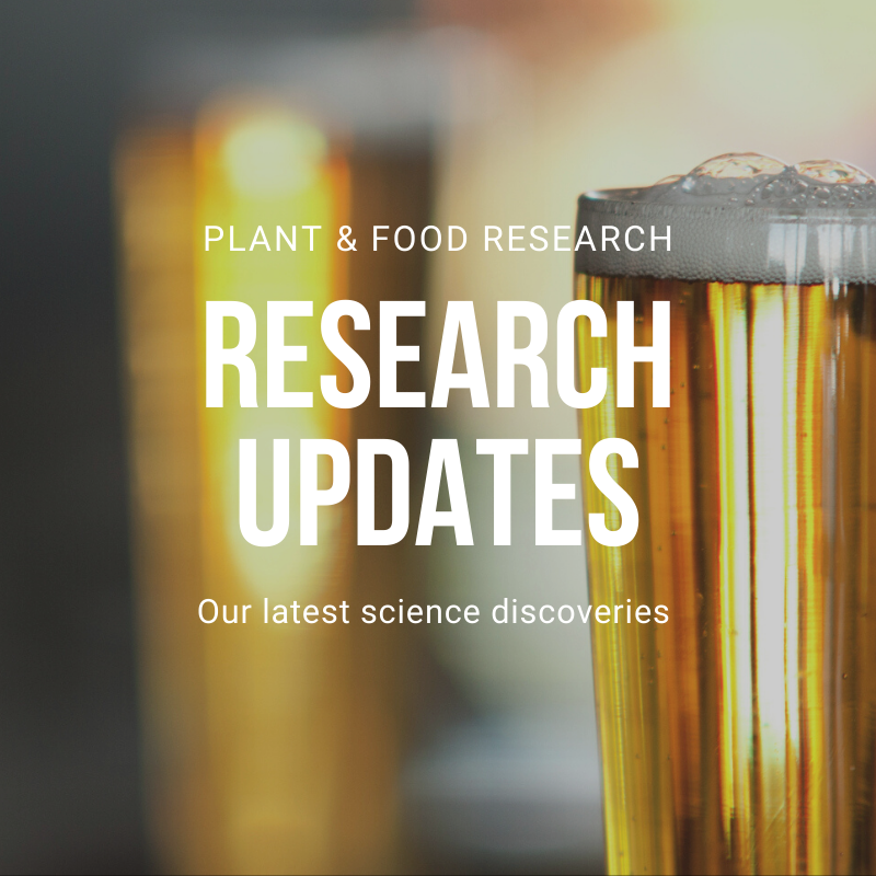 plantandfood's tweet photo. Stay informed of exciting development in plant and food science. Topics include:
-What do #CraftBeer drinkers really want?
-More stable forms of #vitamin
-Can NZ hops help during #fasting?
-Unmanaged host trees of #CodlingMoths
https://t.co/a1Sp1549PU
@nzapples @ProfSuckling https://t.co/bsbT89plIB