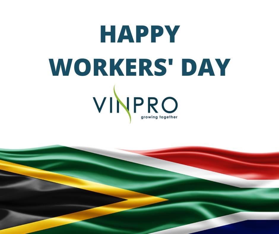 RicoBasson's tweet photo. A special thank you to our 2900 wineproducers, 40000 vineyard and cellar workers, viticulturalists and winemakers for your massive contribution to produce ⁦@ProudlySA⁩ product, often under challenging conditions !!🍇🍷🇿🇦 ⁦@Vinpro_za⁩ ⁦@WOSA_ZA⁩ https://t.co/SboxOyW3mR