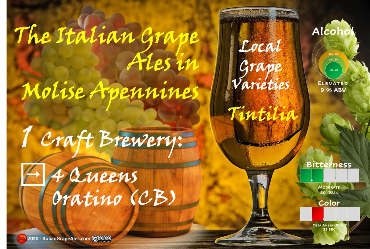 In #Molise, the 4 Queens #Brewery produces Tintriga, a red #IGA fermented with must of #Tintilia grape, cultivated in the organic vineyards of the Colle Sereno winery. #craftbeer #craftbeercolture #beertourism #beertravel #beer #beerlovers #italiangrapeale #bier #biere #piwo #ol