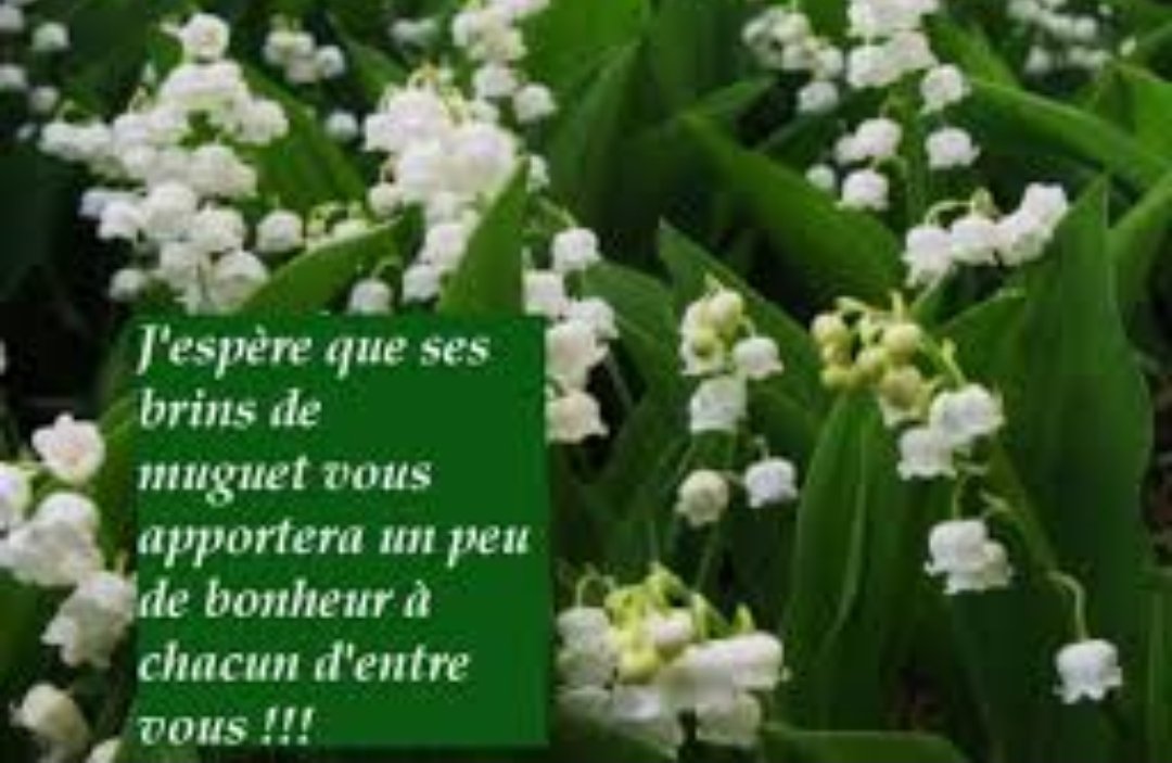 Ponnarycoachofficial Chance Bonheur Et Guerison Gratitude Resilience Mindset Sagesse Joie Vivreheureux Selfcare Pleineconscience Conscience Photodujour 1ermai 1ermai Penseepositive Restezchezvous