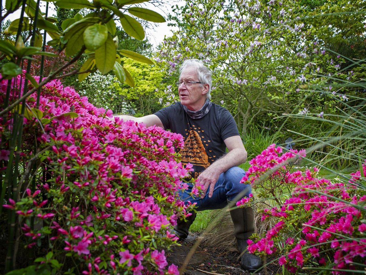 RandBHoney's tweet photo. Gardeners urged to let lawns run wild to find out how many bees they support - Yorkshire Post https://t.co/bWjt6cF5jf #beekeeping #bees https://t.co/o0xVossgyY