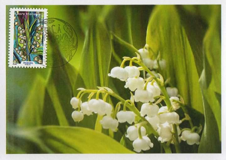 Philatimbre_fr's tweet photo. BONNE FETE DU 1ER MAI A TOUS
📆 1 mai 2019 : Fête du travail #Fêtedutravail #1ermai #Muguet #Philatimbre #UnJourUnTimbre #OneDayStamp
📌 Timbre : Muguet - YT n° 1307 - Année 2016 https://t.co/WE67GGOKwY
