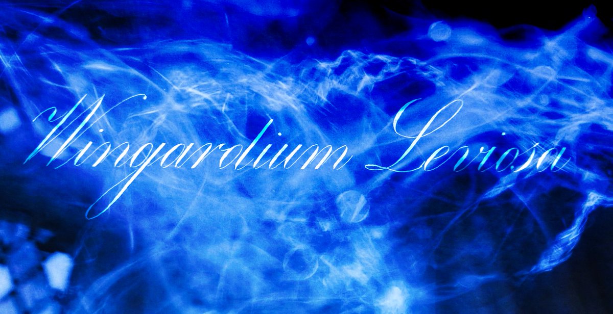 Hermion29614445's tweet photo. #HarryPotter #Harrypotterfanart #calligraphy #engraversscript Wingardium Leviosa~ https://t.co/FXg302OVeZ
