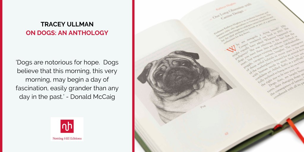 NottingHillEds's tweet photo. The writers and poets collected within its pages reflect on the joys and pitfalls of dog ownership with wit and affection https://t.co/xWPPY4Fdss @TraceyFans #OnDogs #dogsduringlockdown #dogs https://t.co/RoPIdmgIlZ