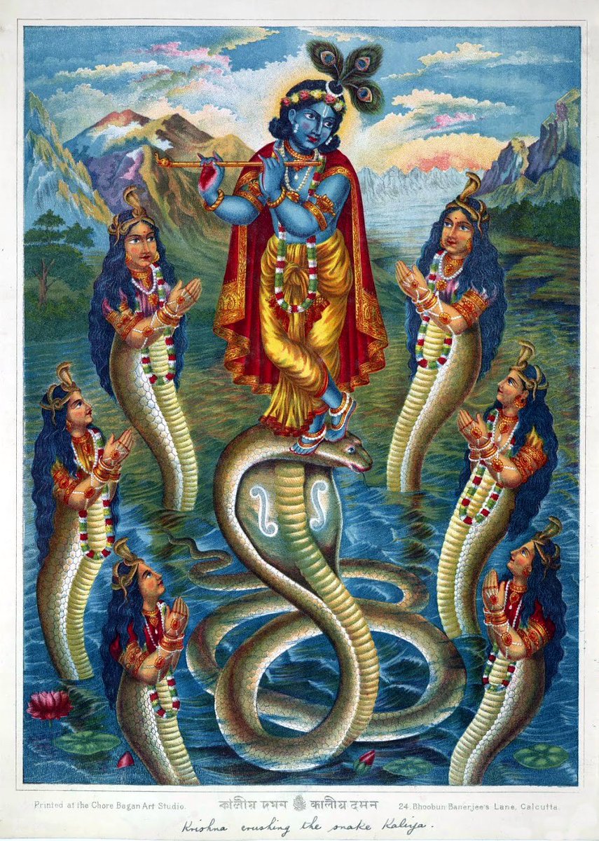 Krishna descends into the water body and subdues it by getting on top of its head and dancing along with playing his flute. In HP, Basilisk, giant serpent which is highly venomous resides inside Chamber of secrets and those who come in contact with its poison or see it r killed