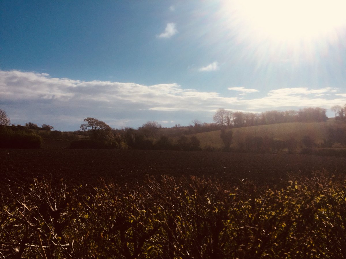 Petroc Trelawny On Twitter Today S Composer Postcard Bbcradio3 Breakfast At 0830 Is By Kuljitbhamra Who Writes For Tabla And Then Our Breakfastsingalong At 0855 With Annatilbrook Is Scarborough Fair Words Here Https T Co Ez54qveock