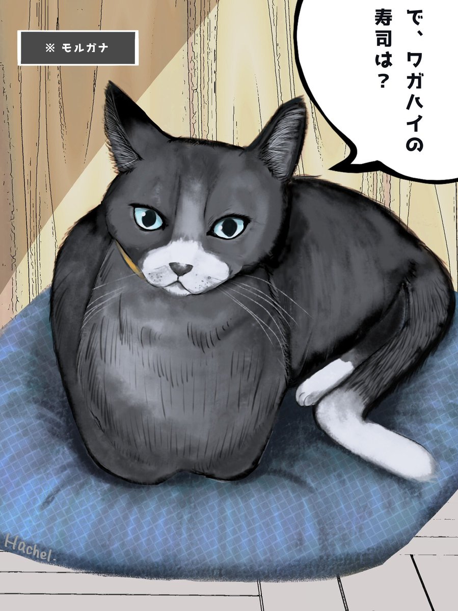 Hachel So Then Where S My Sushi ペルソナ5 モルガナ 猫 イラスト好きさんと繋がりたい 落書き T Co Cg4cr1uday Twitter Hachel So Then Where S My Sushi ペルソナ5 モルガナ 猫 イラスト好きさんと繋がりたい 落書き T Co Cg4cr1uday Twitter