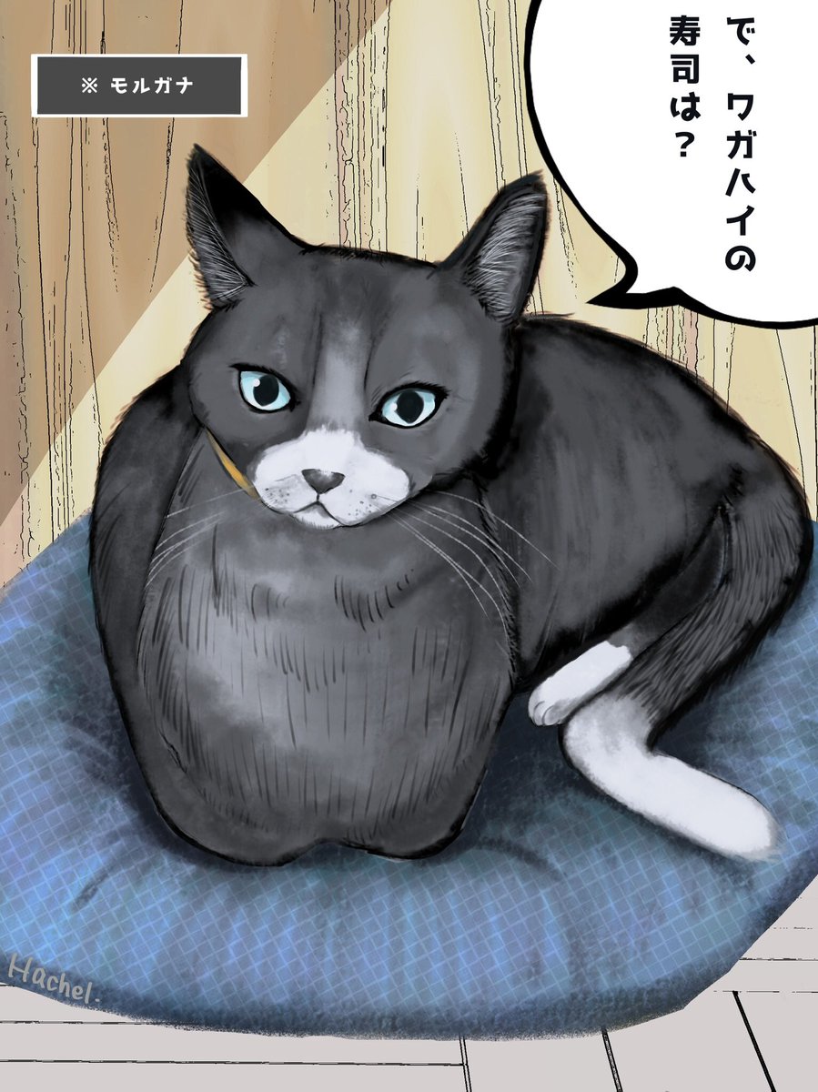 Hachel So Then Where S My Sushi ペルソナ5 モルガナ 猫 イラスト好きさんと繋がりたい 落書き T Co Cg4cr1uday Twitter