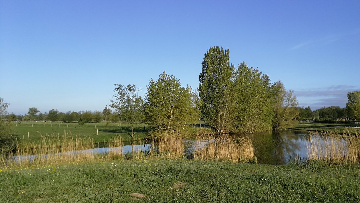 criseswilliam's tweet photo. Eerst vanmorgen het hoofd leeggemaakt en het lichaam opgewarmd, nu aan de slag met het schrijven van adviezen en het verder ontwikkelen van lesstof #coronavirus #COVID19 https://t.co/7egJl300wo