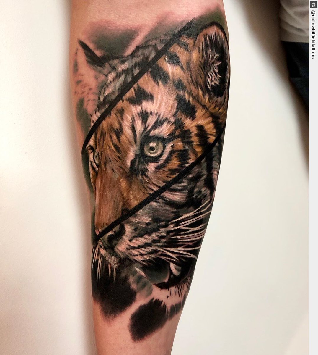 Tiger tattoo I done a little while back. . Pro artist & . . . . #tigertattoo # #uktattoo #tattooist #tattoo #inked #ink #tattooart