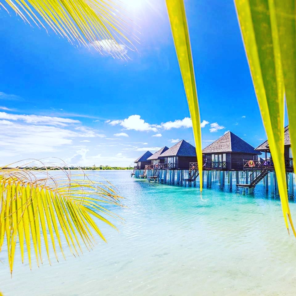 ¿Qué te gustaría ver a través de tu ventana? 🏝Simplemente Maldivas ❤️❤️❤️
☀️<a href="/Mimaldivas/">Maldivas</a> m.facebook.com/Mimaldivas
🎉 ¡Empieza a disfrutar de la vida!🎉
‌#maldivas #quedateencasa #stayhome #travel #yoga #salud #viajar #hotel #lujo #futuro #playa #beach #resort #paraiso #vacaciones