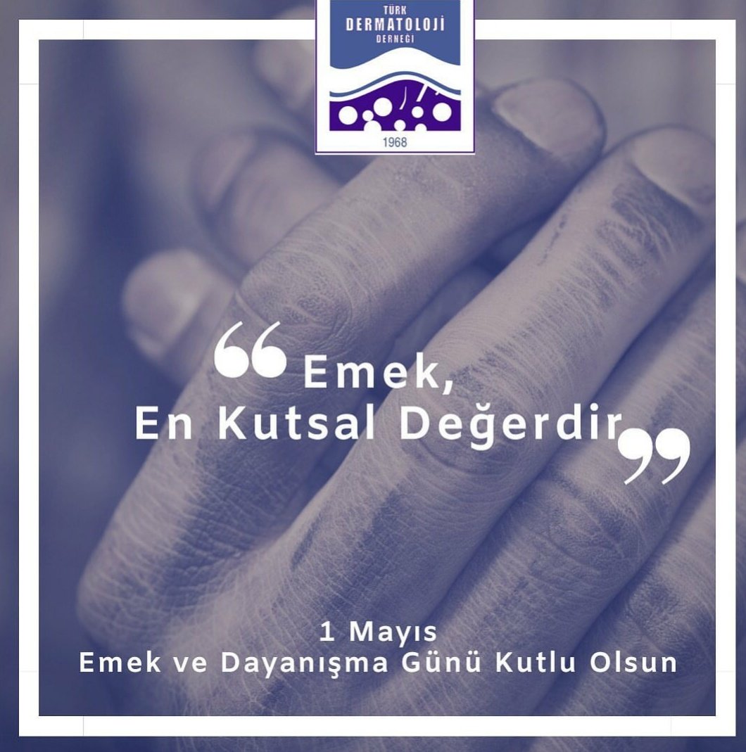 Elif (@elif_moustafa) on Twitter photo 