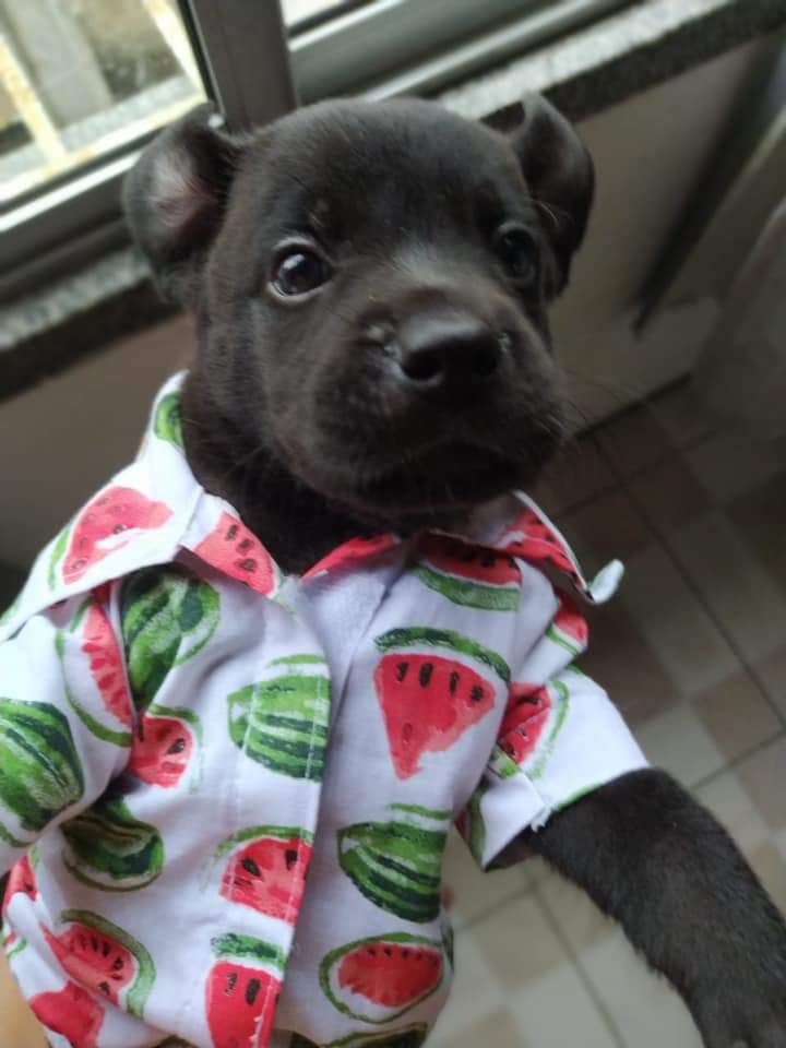 festivaller iptal oldu olum nereye gideceksin bu gömlekle snxnjaxnjs