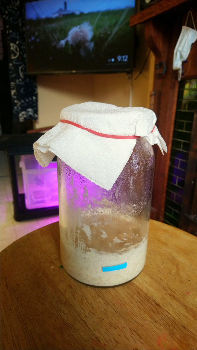 Bill_Owen's tweet image. #sourdough starter day 4
#LockdownProjects