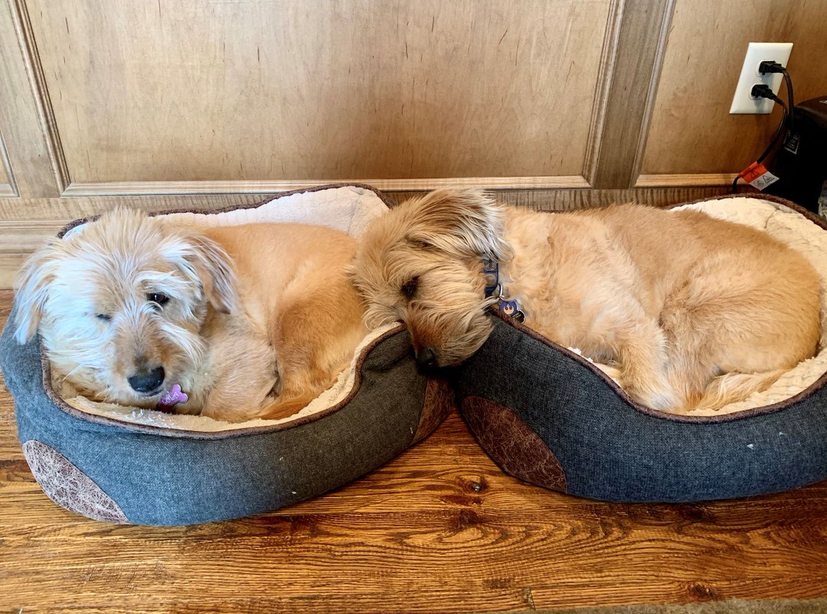 It’s the end of the week, but chances are we’ll see our current officemates through the weekend. Post a picture of the critters or kids that now share your workspace. Or share a photo of your home office view. Let’s take a look at life for #PEsAtHome