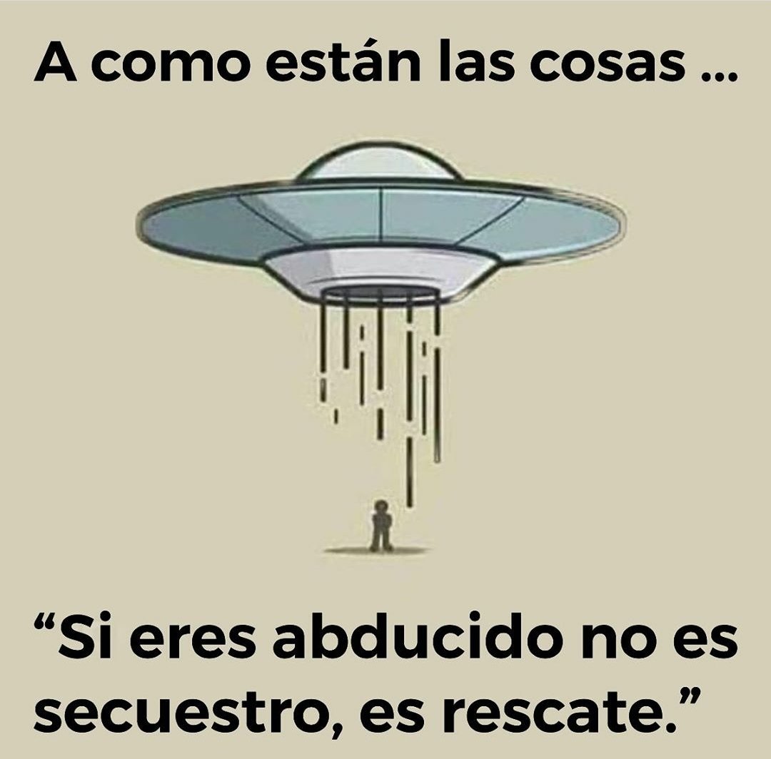 Cecilia Lobato tweet media