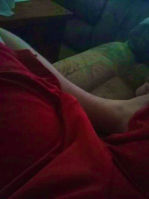 Cheshire’s pics and videos