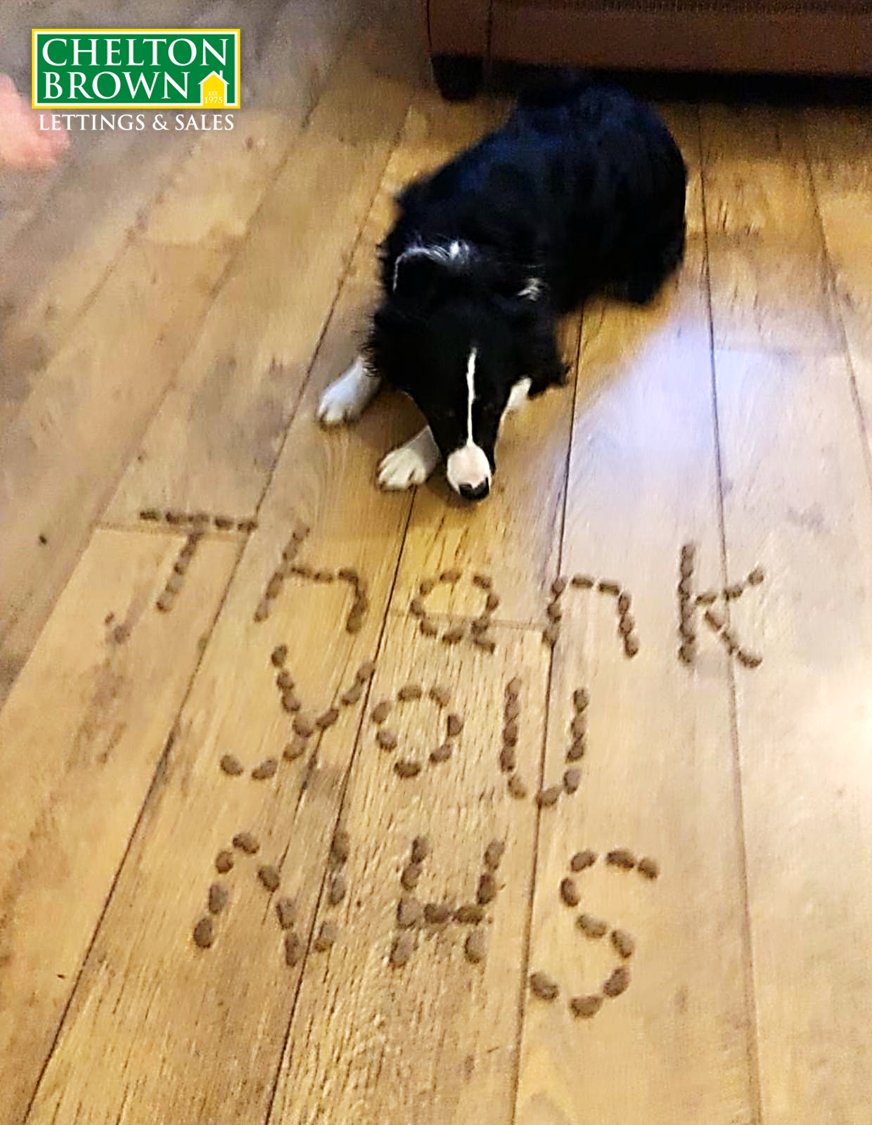 CheltonBrownLtd's tweet photo. A message from Benson, a special member of our our team! 

#thankyounhs #nhs #coronavirus #nhsstaff #doctors #nurses #thankyou #thanksnhs #rainbow #rainbowfornhs

@NHS https://t.co/GPYzQGVX8E