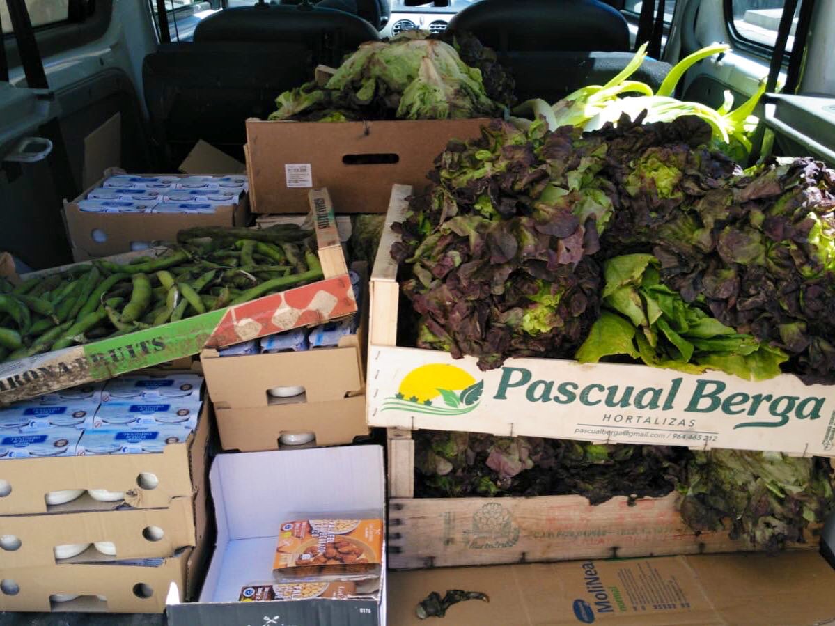 Al #Maresme no paren de nèixer, enemig del confinament, xarxes d’aliments! 🌽🔥

[1/4]