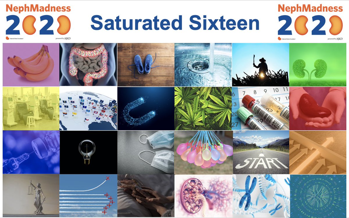 AJKDonline's tweet photo. #NephMadness 2020 Saturated Sixteen results are out: https://t.co/uMAqDmvLBw
Check how your bracket is doing: https://t.co/O19JZVk6TA
Tweet your reactions #Saturatation16 https://t.co/JeGYq47P8I