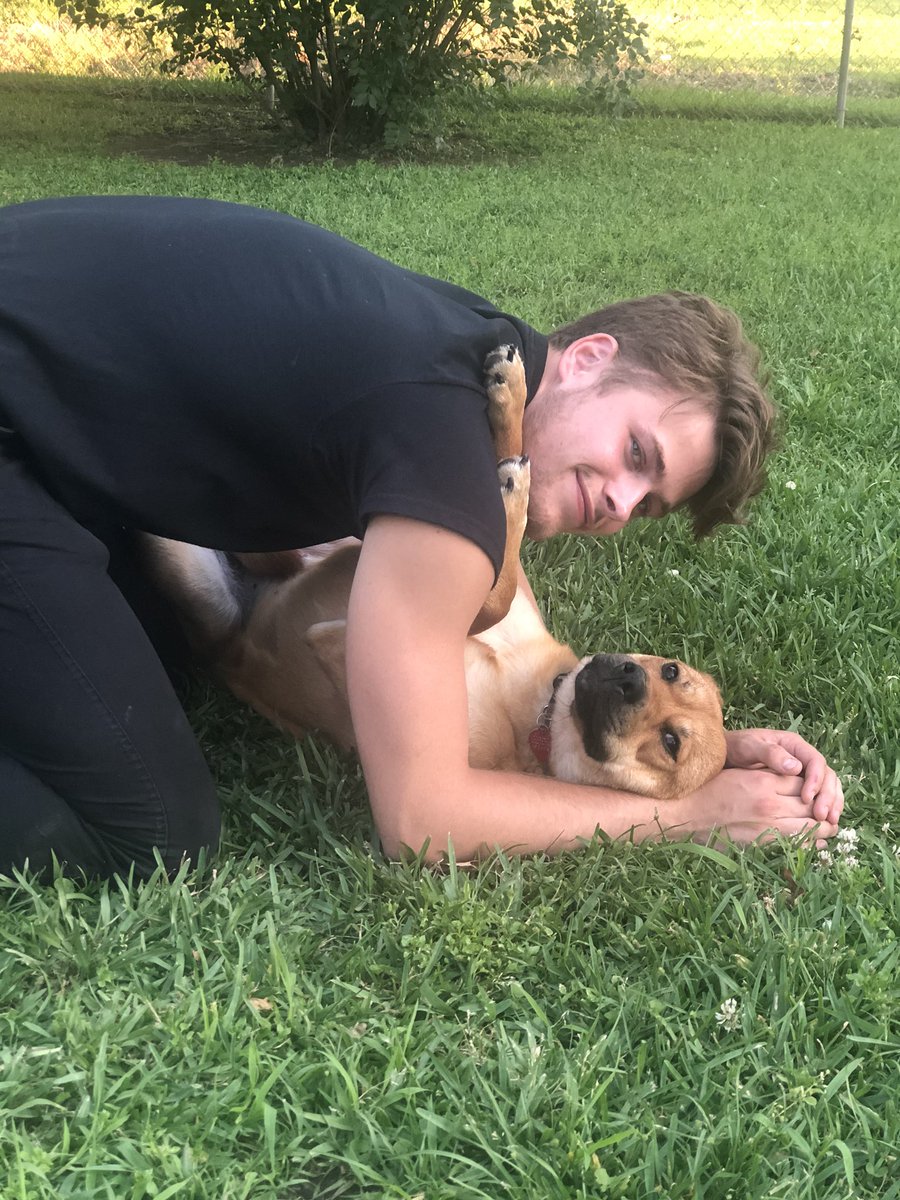 betsyobarnes's tweet photo. Looks like the puppy my son rescued 6 months ago, saying it was only til we could find her a forever home is staying...with us! Why am I surprised? #puppylove #luckydog #spoiledrotten #sonsbestfriend #adoptedandloved https://t.co/qzAsGzdKjH