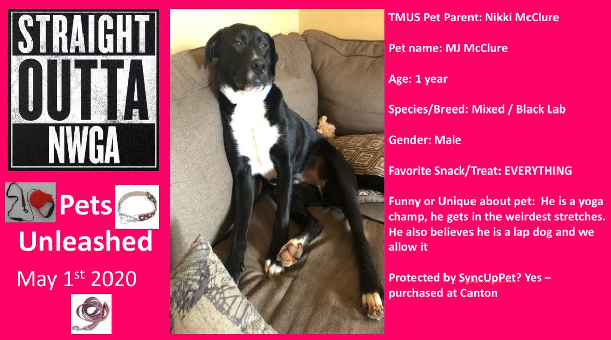 neythin's tweet photo. Kicking off the 1st of many Friday #StraightOuttaNWGA PETS UnLeashed is @NIKKILENA's MJ McClure! Such a beautiful baby boy and kept safe with @TMobile #SyncUpPets @jackhjohnson #GeorgiaPride https://t.co/7xWCLja2ha