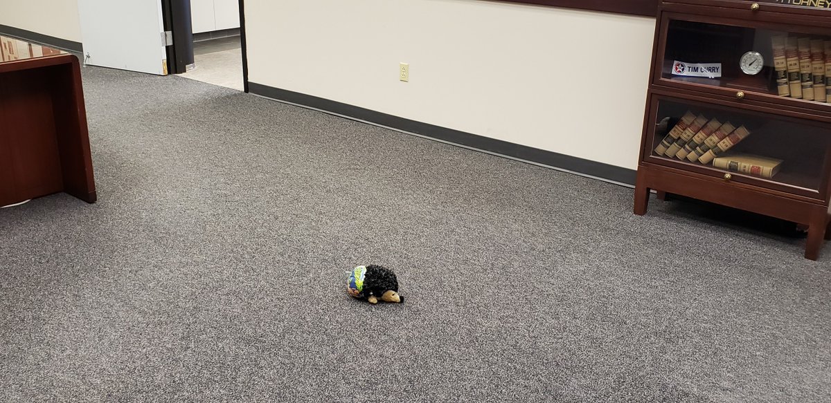 TarrantCountyDA's tweet photo. Subtle clues that a certain emotional support canine is very happily back on the job!
#DADog https://t.co/L5nyZnKUGI